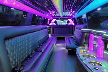 Albany Limo Interior