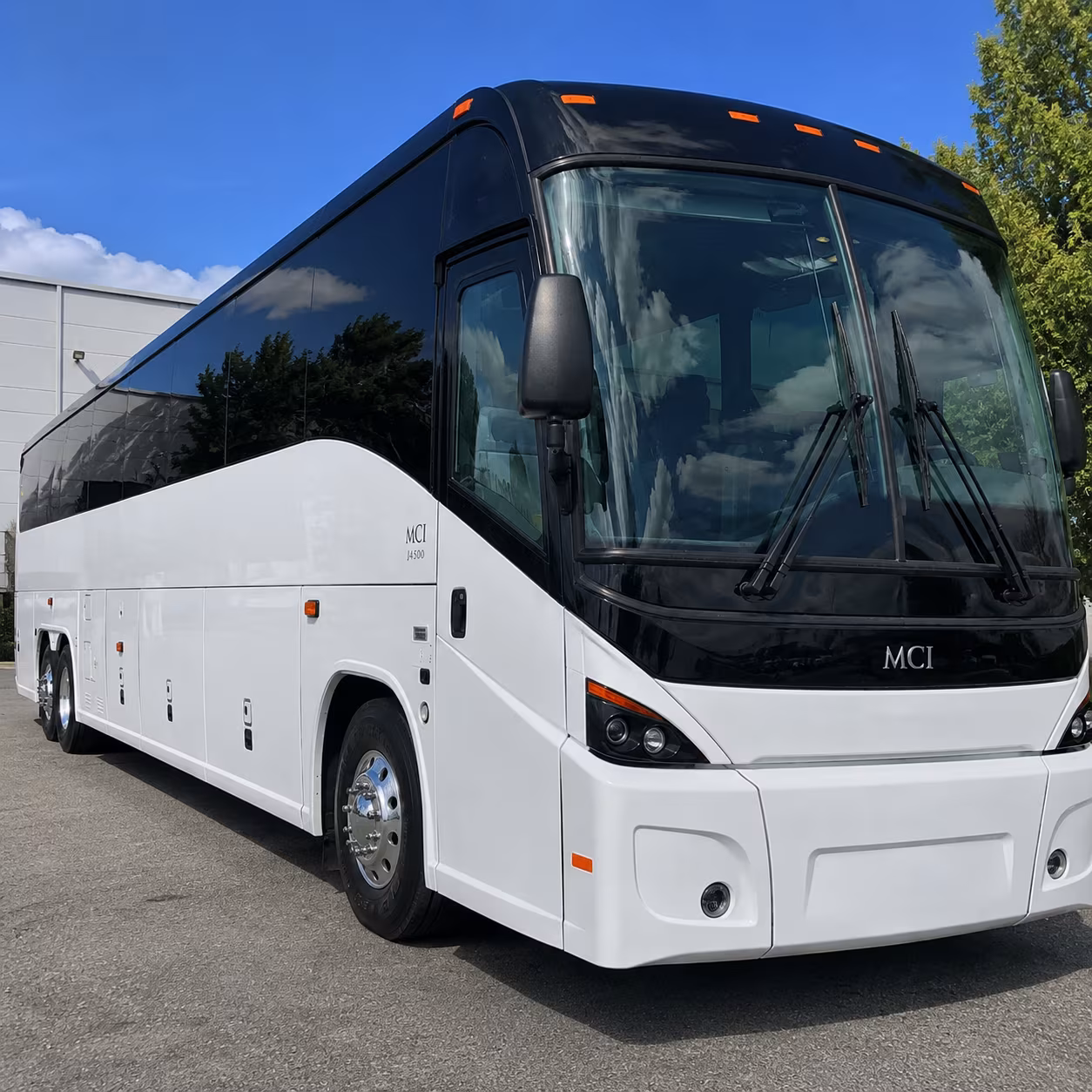 albany bus rental service area